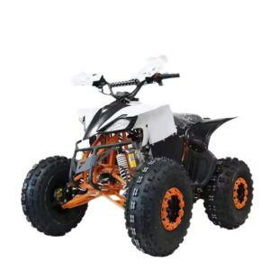Top-Ranked Products Wholesale Atv Multiple Terrain Colors Available 125cc Gasoline Atv