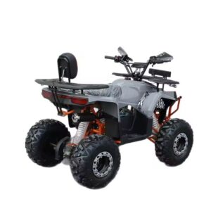 Sirius 125cc Four-Wheel ATV New Small Aluminum Cylinder Off-Road All-Terrain Vehicle with Chain Drive Transmission System
