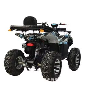 Wholesale Price China Cheap Atv 200cc Rear-wheel Drive 12v 9a Multi-Terrain Beach Atv 200cc ATV